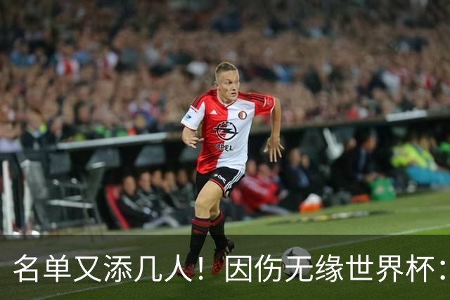名单又添几人！因伤无缘世界杯：廷伯、巴列尔迪，卡尔、韦斯利..